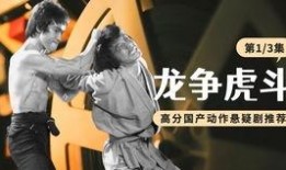 龙争虎斗视频在线观看,巅峰对决，热血激战在线直播